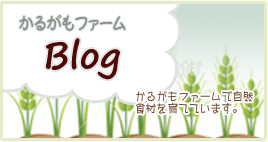 かるがもファームBlog